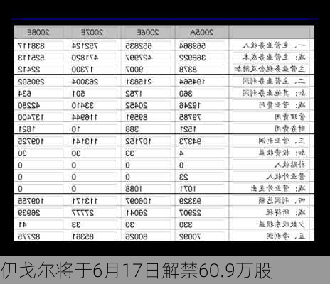 伊戈尔将于6月17日解禁60.9万股