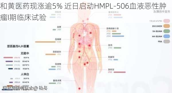 和黄医药现涨逾5% 近日启动HMPL-506血液恶性肿瘤I期临床试验