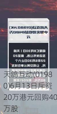 天鸽互动(01980)6月13日斥资20万港元回购40万股