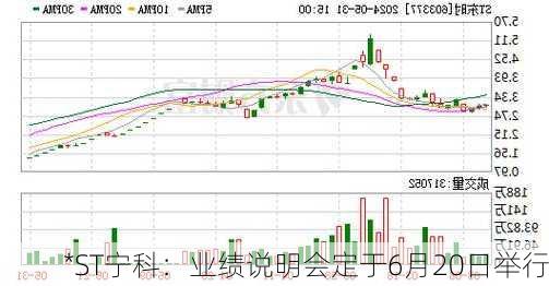 *ST宁科：业绩说明会定于6月20日举行