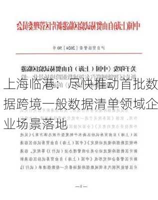 上海临港：尽快推动首批数据跨境一般数据清单领域企业场景落地