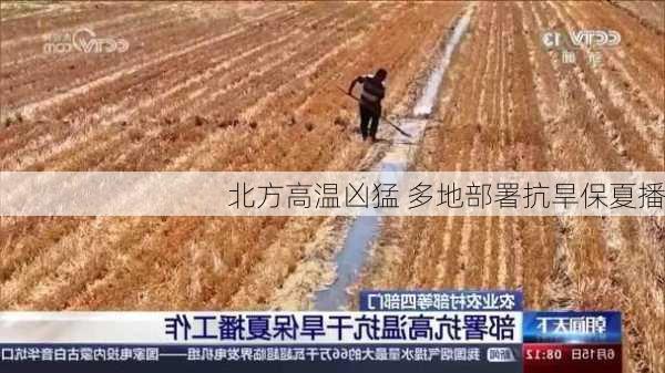 北方高温凶猛 多地部署抗旱保夏播