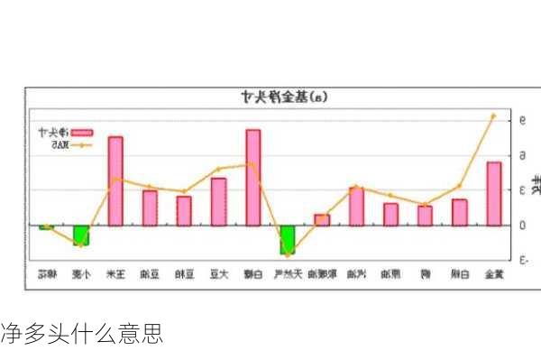 净多头什么意思