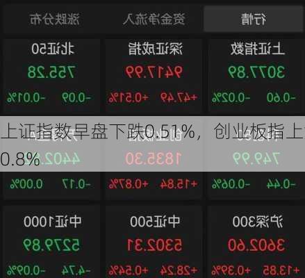 上证指数早盘下跌0.51%，创业板指上涨0.8%