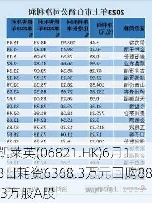 凯莱英(06821.HK)6月18日耗资6368.3万元回购88.3万股A股