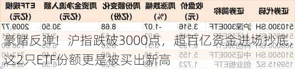 豪赌反弹！沪指跌破3000点，超百亿资金进场抄底，这2只ETF份额更是被买出新高