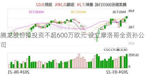 腾龙股份拟投资不超600万欧元 设立摩洛哥全资孙公司