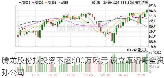 腾龙股份拟投资不超600万欧元 设立摩洛哥全资孙公司