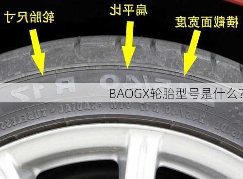 BAOGX轮胎型号是什么？