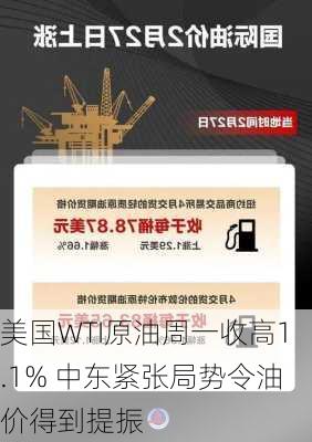 美国WTI原油周一收高1.1% 中东紧张局势令油价得到提振