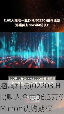 脑洞科技(02203.HK)购入合共36.3万份Micron认购期权