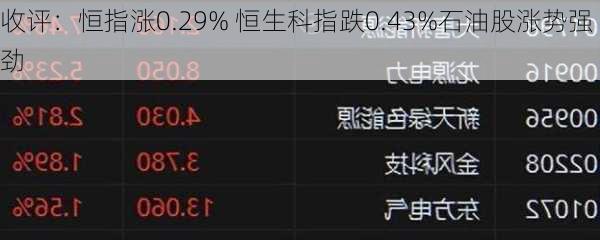 收评：恒指涨0.29% 恒生科指跌0.43%石油股涨势强劲