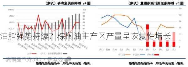 油脂强势持续？棕榈油主产区产量呈恢复性增长