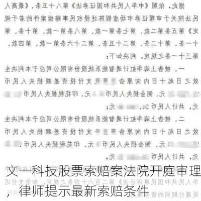 文一科技股票索赔案法院开庭审理，律师提示最新索赔条件