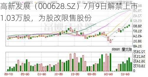 高新发展（000628.SZ）7月9日解禁上市1.03万股，为股改限售股份