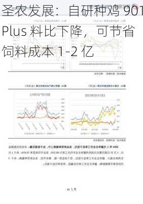 圣农发展：自研种鸡 901Plus 料比下降，可节省饲料成本 1-2 亿