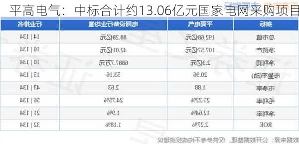 平高电气：中标合计约13.06亿元国家电网采购项目