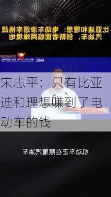 宋志平：只有比亚迪和理想赚到了电动车的钱