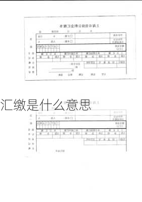 汇缴是什么意思