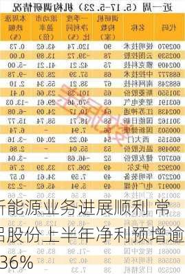 新能源业务进展顺利 常铝股份上半年净利预增逾936%