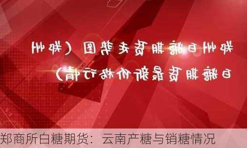 郑商所白糖期货：云南产糖与销糖情况