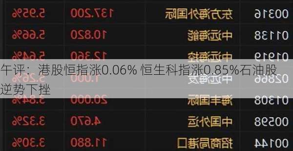 午评：港股恒指涨0.06% 恒生科指涨0.85%石油股逆势下挫