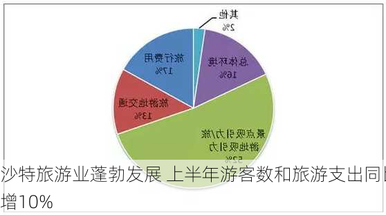 沙特旅游业蓬勃发展 上半年游客数和旅游支出同比增10%