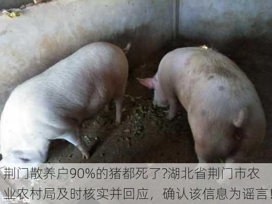 荆门散养户90%的猪都死了?湖北省荆门市农业农村局及时核实并回应，确认该信息为谣言！