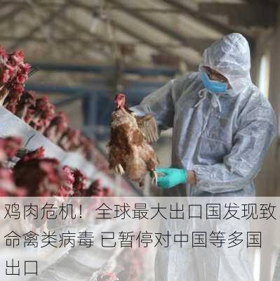 鸡肉危机！全球最大出口国发现致命禽类病毒 已暂停对中国等多国出口