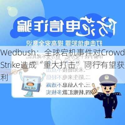 Wedbush：全球宕机事件对CrowdStrike造成“重大打击” 同行有望获利