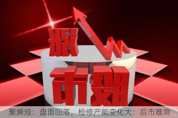 聚烯烃：盘面回落，检修产能变化大：后市难测