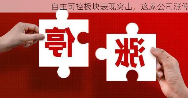 自主可控板块表现突出，这家公司涨停