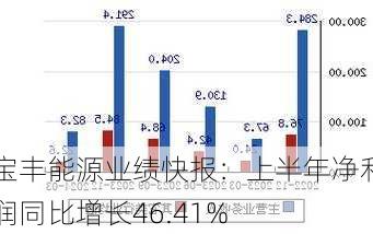 宝丰能源业绩快报：上半年净利润同比增长46.41%