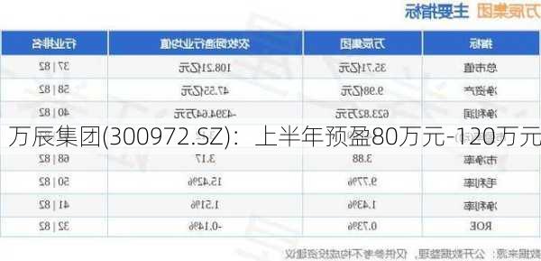 万辰集团(300972.SZ)：上半年预盈80万元-120万元