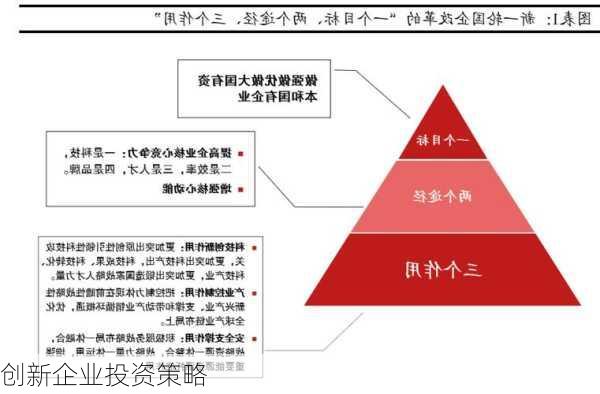 创新企业投资策略