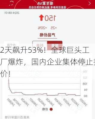 2天飙升53%！全球巨头工厂爆炸，国内企业集体停止报价！