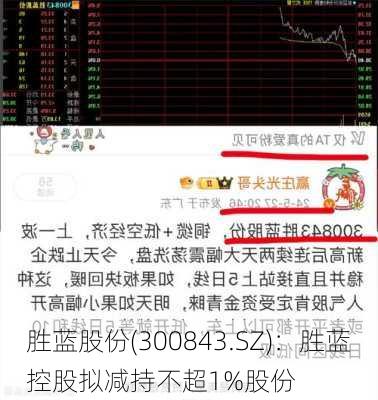 胜蓝股份(300843.SZ)：胜蓝控股拟减持不超1%股份