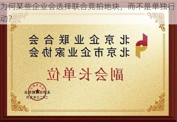 为何某些企业会选择联合竞拍地块，而不是单独行动？