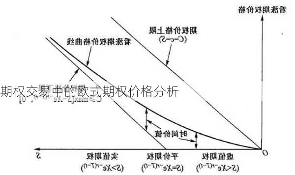 期权交易中的欧式期权价格分析