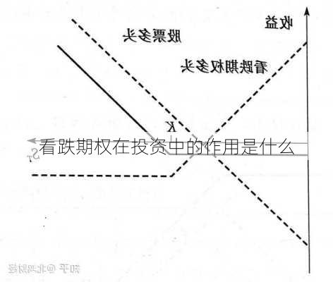 看跌期权在投资中的作用是什么