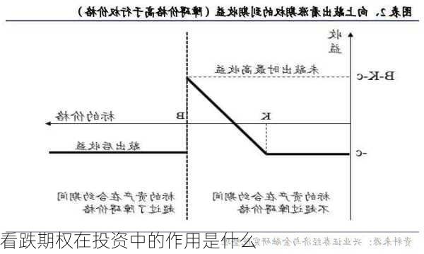 看跌期权在投资中的作用是什么