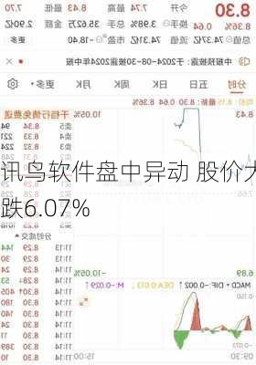 讯鸟软件盘中异动 股价大跌6.07%