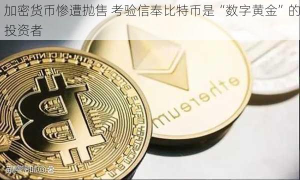 加密货币惨遭抛售 考验信奉比特币是“数字黄金”的投资者