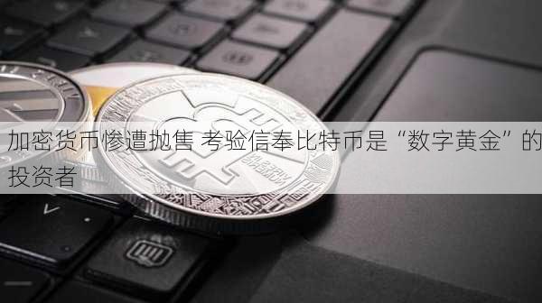 加密货币惨遭抛售 考验信奉比特币是“数字黄金”的投资者