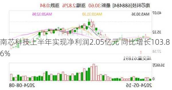 南芯科技上半年实现净利润2.05亿元 同比增长103.86%