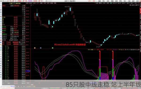 85只股中线走稳 站上半年线