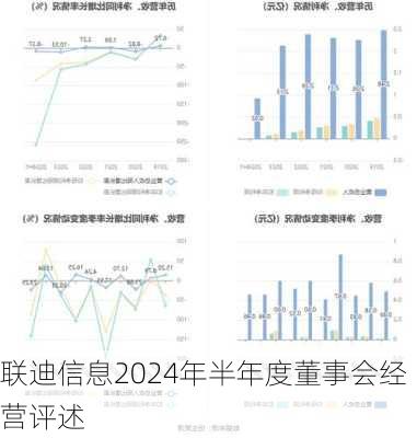 联迪信息2024年半年度董事会经营评述