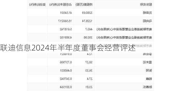 联迪信息2024年半年度董事会经营评述