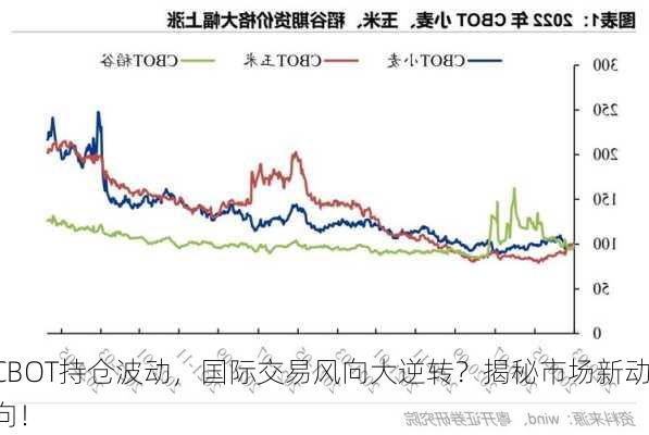 CBOT持仓波动，国际交易风向大逆转？揭秘市场新动向！