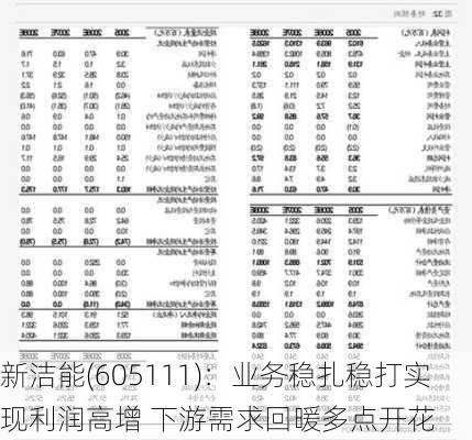 新洁能(605111)：业务稳扎稳打实现利润高增 下游需求回暖多点开花